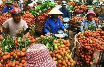 越南定2980亿农产品出口目标!中国是重点市场?网友:恩将仇报?